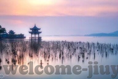 足球比分新浪网-深度解析，足球比分新浪网——球迷的实时数据宝库与观赛指南针